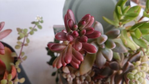 紅葉と今年最後の!?