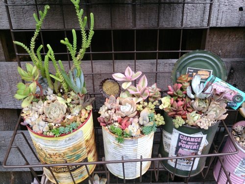 あれこれ。 あれこれ。