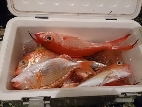 昨日 昨日
