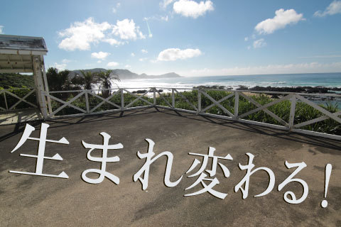 手広リゾート⑤ 手広リゾート⑤