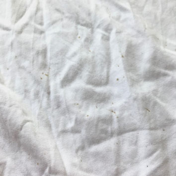 煮洗い 煮洗い