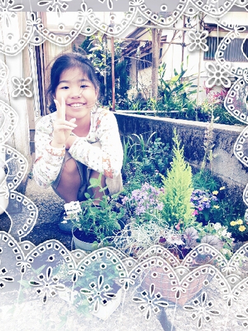 コブタ花壇復活計画 (,,,・(00)・) ❁*✲゚*