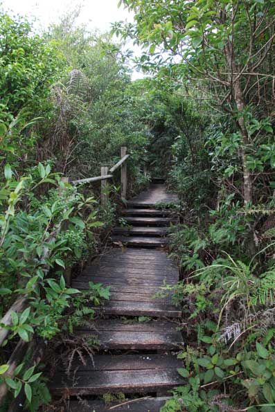 湯湾岳