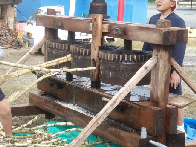 大城小学校の黒糖作り 沖永良部島
