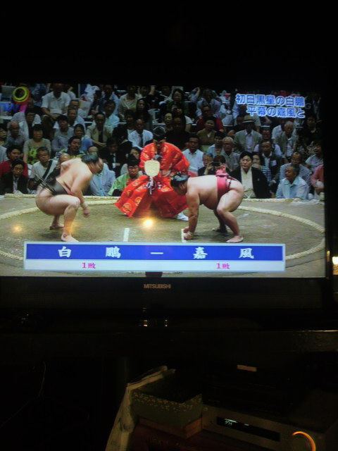 千載一遇のチャンス!!(^-^)b