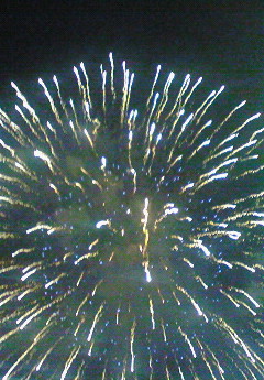 夏の夜空に…厳選花火特集!