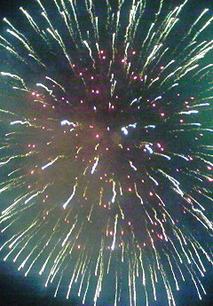 夏の夜空に…厳選花火特集!