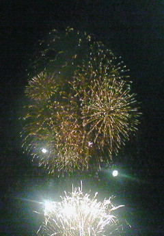 夏の夜空に…厳選花火特集!