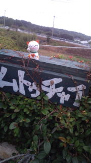 あのね!お知らせ