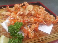 ガジュマルの樹の下で