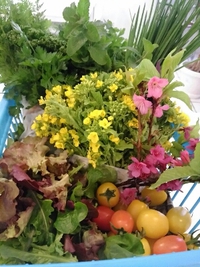 野菜の美味しいレストランを目指して
