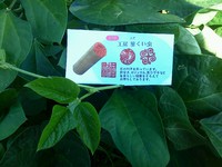 工房　蓼くい虫