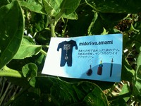 midori-ya.amami