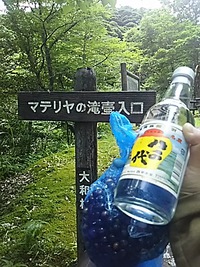 本日の日曜マルシェIN山羊島ホテルに合わせて昨日マテリヤの滝に行ってきました