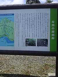 徳之島はやっぱりすごい島だった！！　