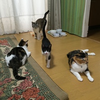 狭くても大丈夫！