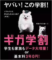 【番号そのまま】乗り換えの仕方【MNP】