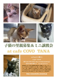 譲渡会のご報告。