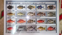 夏休み特別企画！