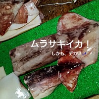 時化続きなので！part 2