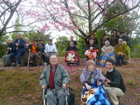お花見ドライブ