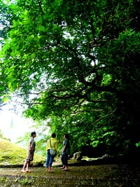 地球は素晴らしい☆