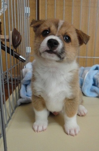 新しい家族が増えました!!