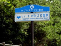 奄美の南部も楽しいな～☆