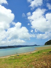暑い夏にはこれどうぞ！