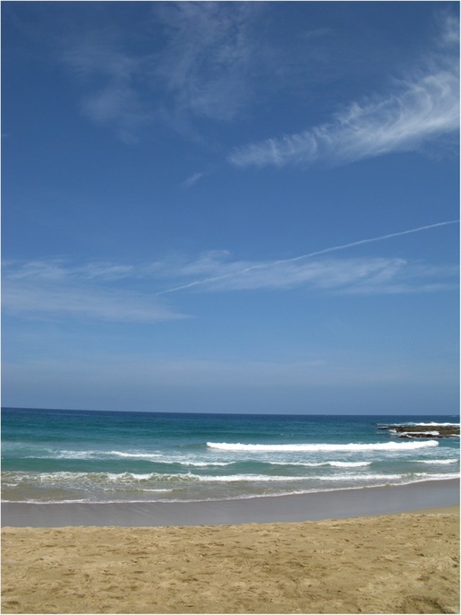 花徳浜