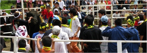 09/9/27闘牛＠徳之島町