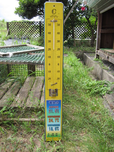異常気象暑い