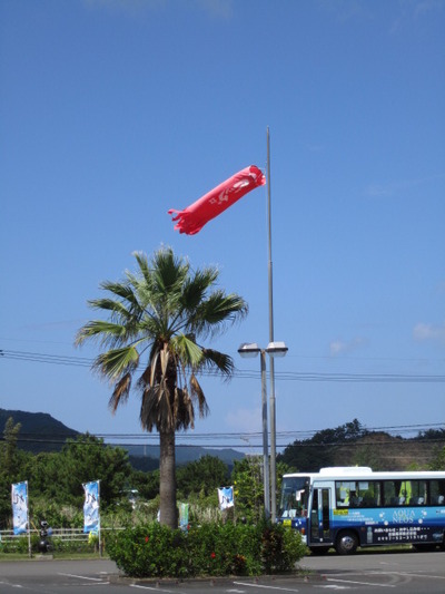 今日も暑い