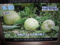 2011年05月31日