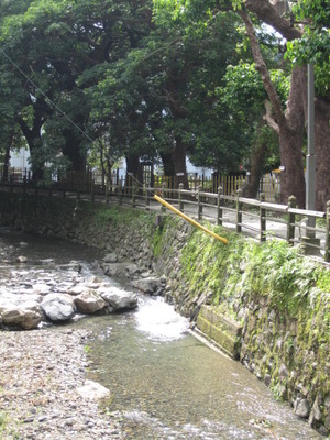 癒しの風景