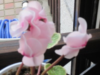 2011年06月10日
