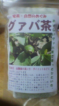 【宣伝】アマミちゃんちのグァバ茶のご案内！