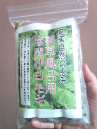 塩漬けヨモギができました！