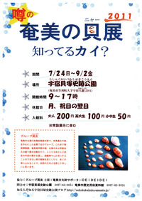 噂の奄美の貝展　知ってるカイ？