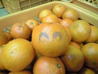 にっこにこ