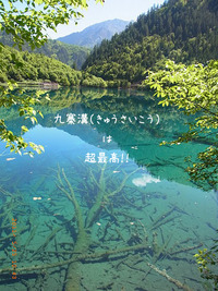 九寨溝（きゅうさいこう）は超最高！！