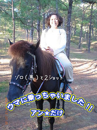 調子に乗って！馬に乗っちゃいました！