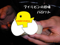 ツッコミどころ満載の
