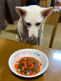 リリィ♡15歳