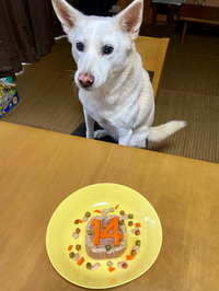 祝★14歳