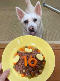 リリィ♡16歳！