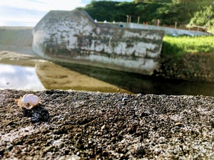 国直　浜辺