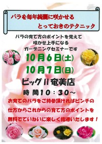 イベントのお知らせ