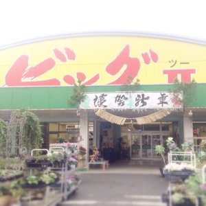ビッグツー　お正月