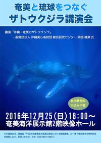 １２月２５日ザトウクジラ講演会